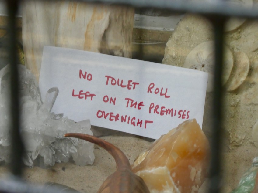 toilet roll humour