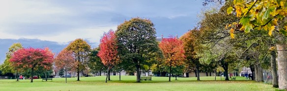 autumn, trees, bruntsfield